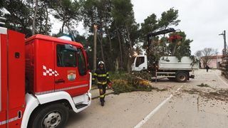 Olujno jugo oborilo stablo i električni stup