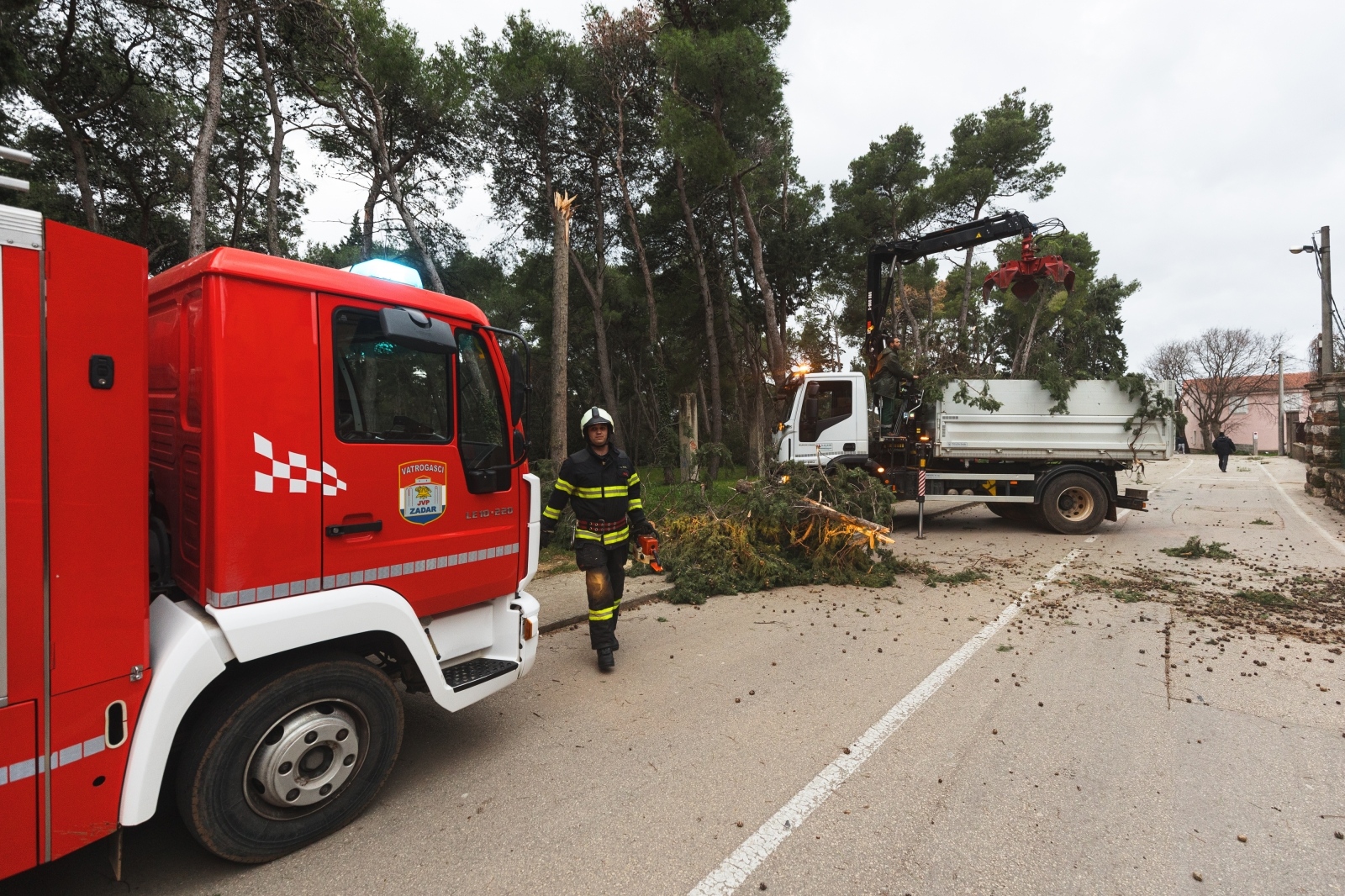 Olujno jugo oborilo stablo i električni stup