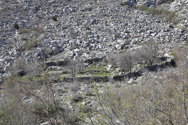 Ako ste u mogućnosti za mali izlet, posjetite Stap – veliko krško polje na Južnom Velebitu, na 960 m visine, foto: Vedran Penga