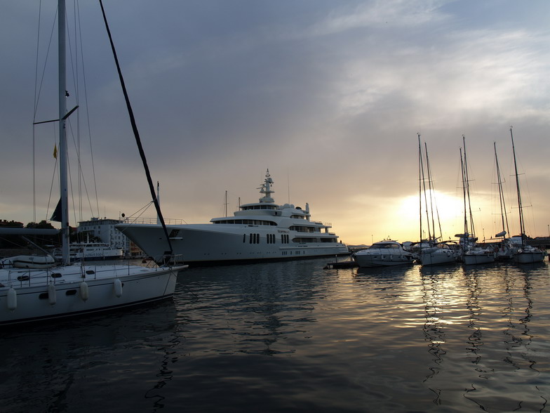 OLYMPUS DIGITAL CAMERA