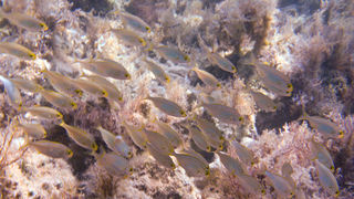 OLYMPUS DIGITAL CAMERA OLYMPUS DIGITAL CAMERA