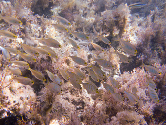 OLYMPUS DIGITAL CAMERA OLYMPUS DIGITAL CAMERA