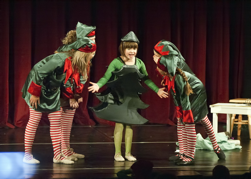 HNK Zadar: HNK Zadar: