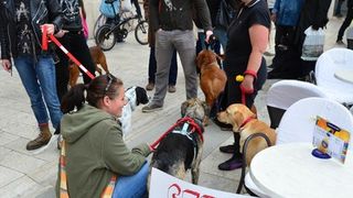 Skup podrške za NO KILL skloništa za životinje,  foto Iva Perinčić
