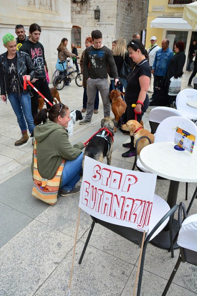 Skup podrške za NO KILL skloništa za životinje,  foto Iva Perinčić