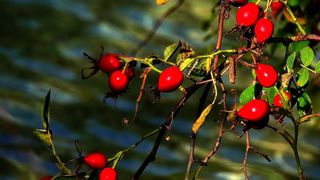 NP Plitvička jezera, listopad 2021.