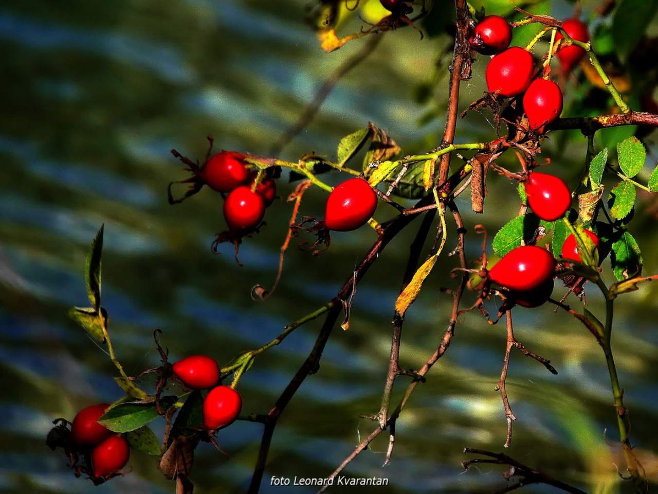 NP Plitvička jezera, listopad 2021.