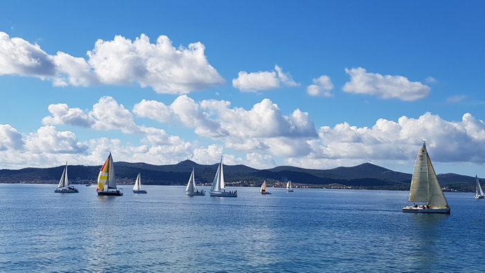 Zadarska Koka 2016. 22. listopada 2016. Foto: Mladen Malik Zadarska Koka 2016. 22. listopada 2016. Foto: Mladen Malik