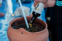 Subota na Tuna, Sushi & Wine Festivalu – radionice, degustacije i spektakularni Cubismo Subota na Tuna, Sushi & Wine Festivalu – radionice, degustacije i spektakularni Cubismo