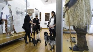 Kulturne šapice Kulturne šapice