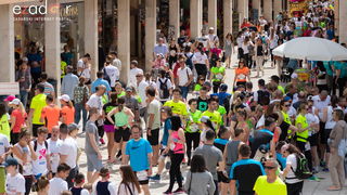 Wings for Life World Run 2018. – Čudesna atmosfera u Zadru