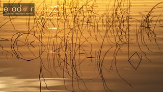 Zlatna nedjeljna zora na Vranskom jezeru