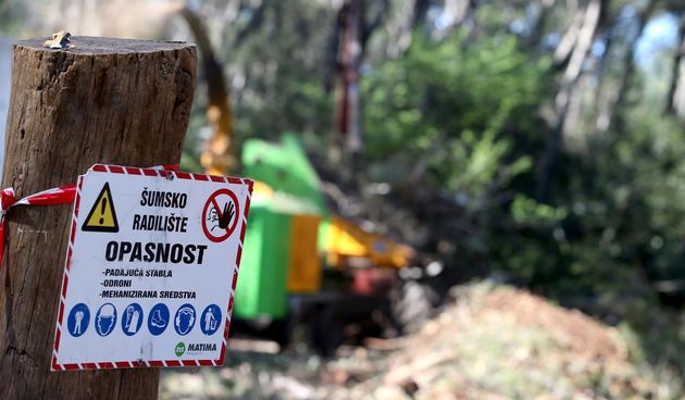 Sječa stabala u Park šumi Marjan