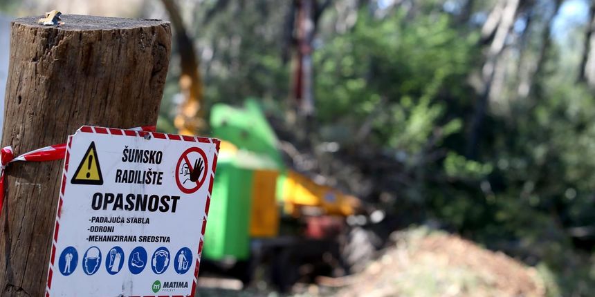 Sječa stabala u Park šumi Marjan Sječa stabala u Park šumi Marjan