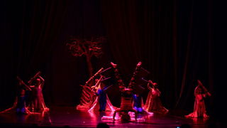 Circo Art u HNK Zadar izveo predstavu “Povratak u prirodu”