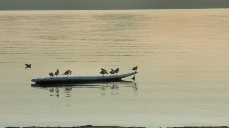 Bonaca na Punta Skali Bonaca na Punta Skali