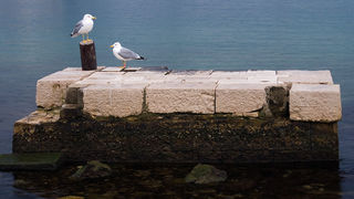 Image 1194615 (auto)