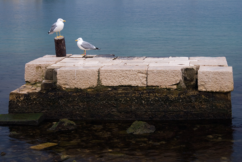 Image 1194615 (auto)