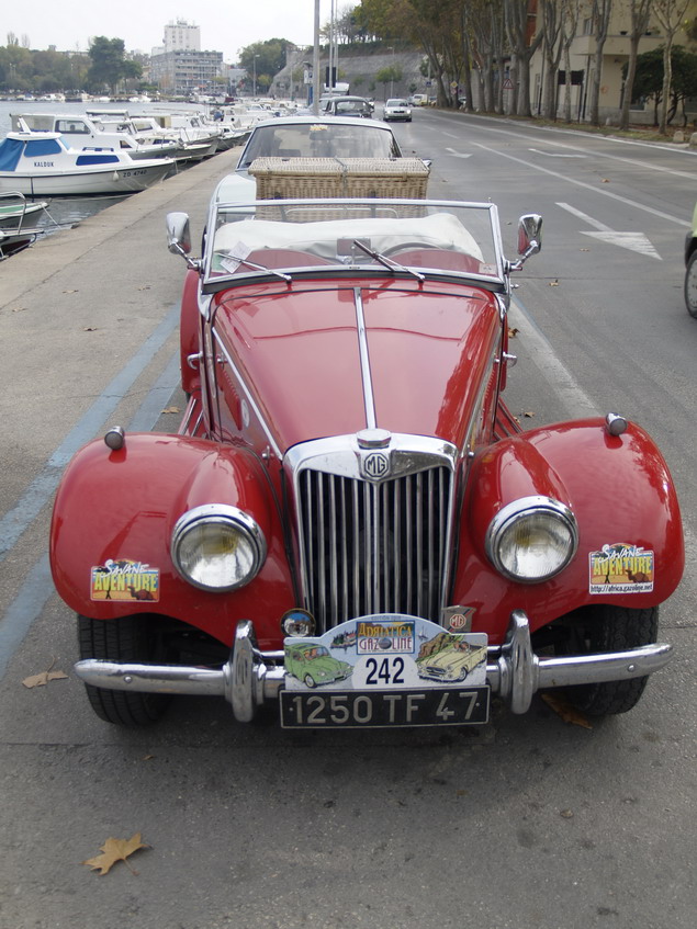 Adriatica Gazoline 2008.