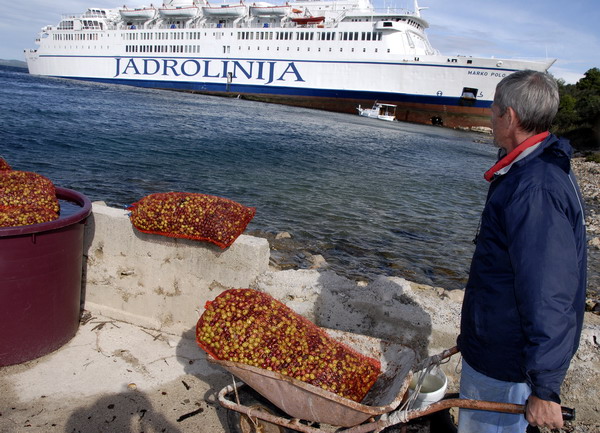 Image 1057531 (auto)