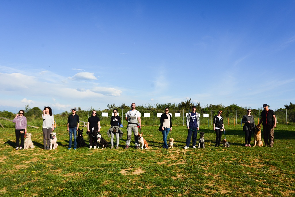 Kinološka udruga Malinois