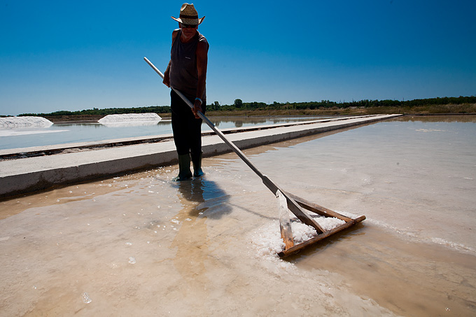 Solana Nin, berba soli, foto: Leo Banić