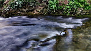 Nedjeljni izlet u Nacionalni park Krka Nedjeljni izlet u Nacionalni park Krka