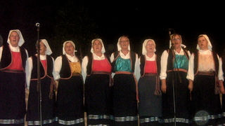 4. Večer folklora pod zvizdama 4. Večer folklora pod zvizdama