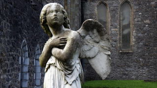 Matruanti Zadarske privatne gimnazije u Dublinu, Foto: Valentino Radman