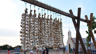 Održan sajam “Luka i igara”