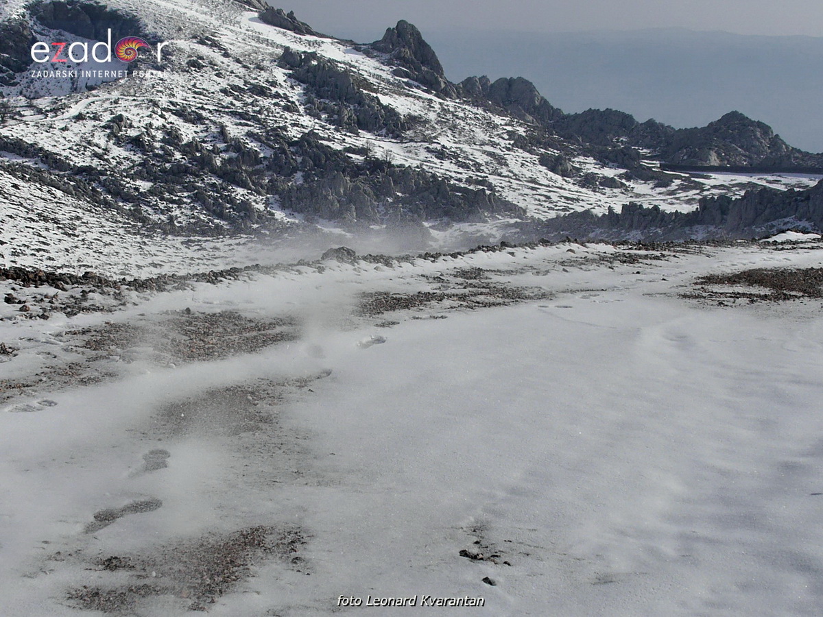 Tulove grede pod snježnim pokrivačem Tulove grede pod snježnim pokrivačem