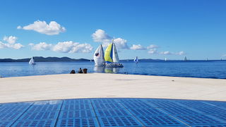 Zadarska Koka 2016. 22. listopada 2016. Foto: Mladen Malik Zadarska Koka 2016. 22. listopada 2016. Foto: Mladen Malik