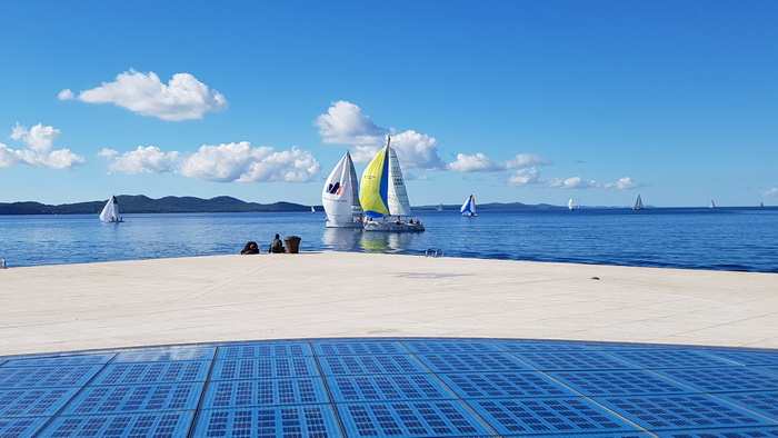 Zadarska Koka 2016. 22. listopada 2016. Foto: Mladen Malik Zadarska Koka 2016. 22. listopada 2016. Foto: Mladen Malik