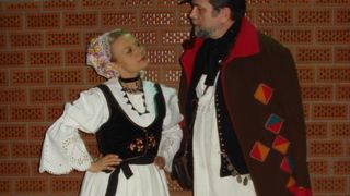 Folklorna manifestacija u Novigradu Podravskom