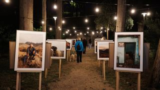 Noć tvrđava u Zadru – poslijepodnevni program