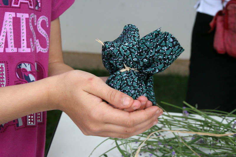 Danas je održana kreativna radionica za velike i male u organizaciji Dječjeg odjela Gradske knjižnice Zadar: izrada stručaka i jastučića od lavande od 10-12 h. Radionicu je vodila gospođa Jadranka Plantak. Foto by Lucija Juravic Danas je održana kreativna radionica za velike i male u organizaciji Dječjeg odjela Gradske knjižnice Zadar: izrada stručaka i jastučića od lavande od 10-12 h. Radionicu je vodila gospođa Jadranka Plantak. Foto by Lucija Juravic