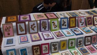 Sv. Filip i Jakov – 10. Dani cvijeća, 24. i 25. travnja 2010. (Foto: Vedran Penga)