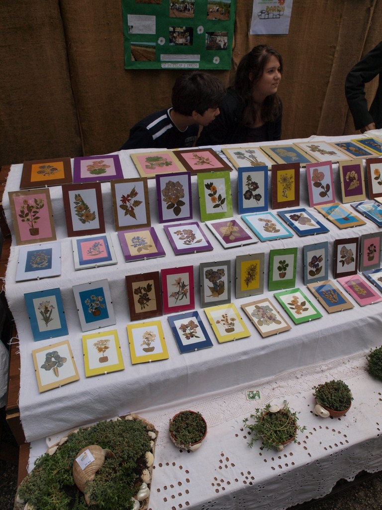 Sv. Filip i Jakov – 10. Dani cvijeća, 24. i 25. travnja 2010. (Foto: Vedran Penga)