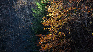 Boje jeseni na Plitvičkim jezerima