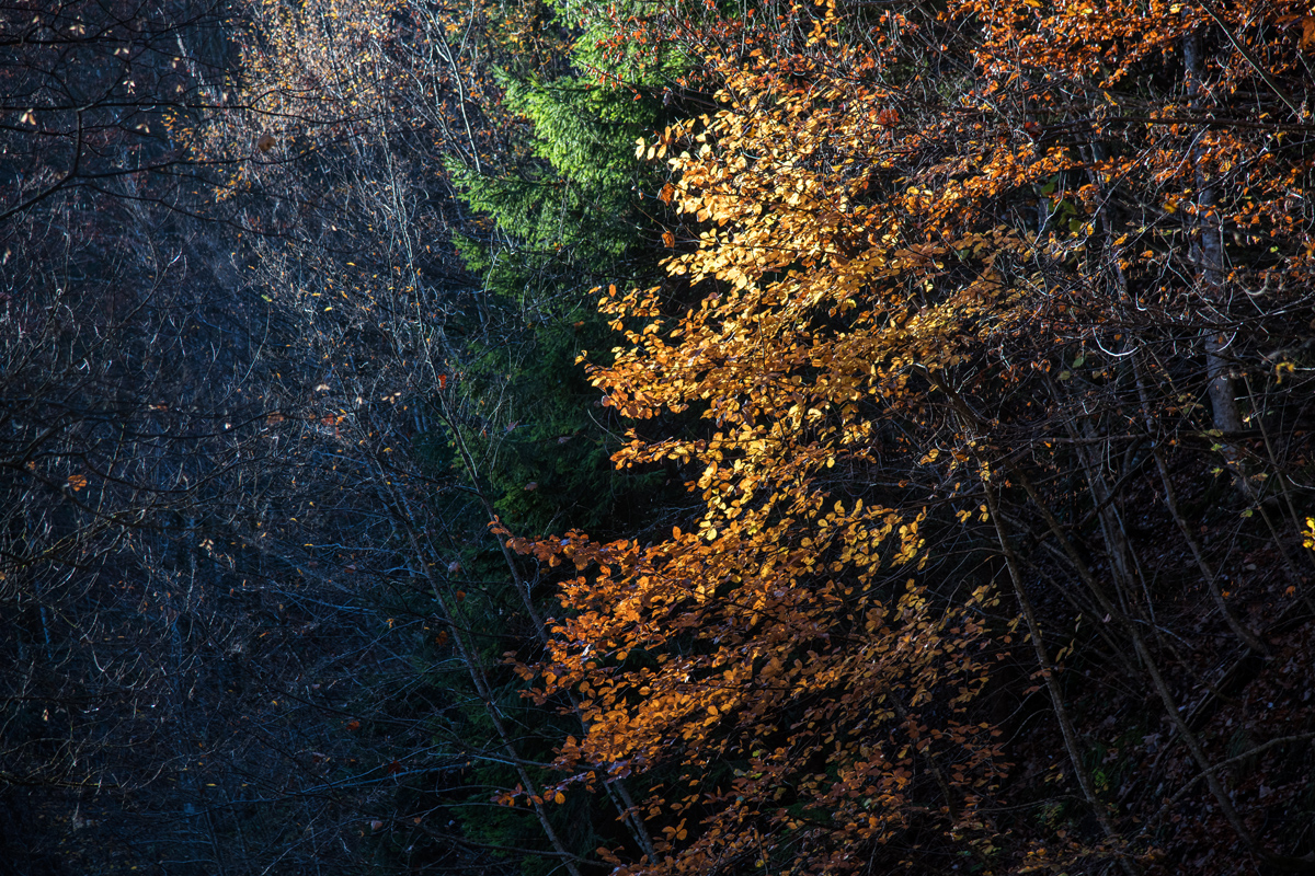 Boje jeseni na Plitvičkim jezerima