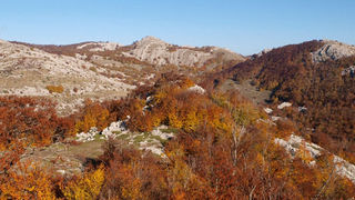 OLYMPUS DIGITAL CAMERA OLYMPUS DIGITAL CAMERA