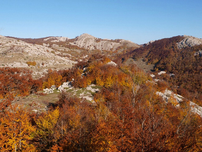 OLYMPUS DIGITAL CAMERA OLYMPUS DIGITAL CAMERA