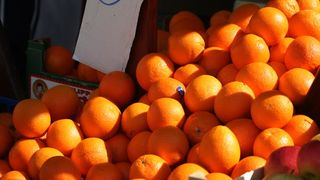 Image 1199881 (auto)