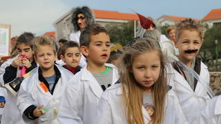 Virski karnevalić 2016. Virski karnevalić 2016.