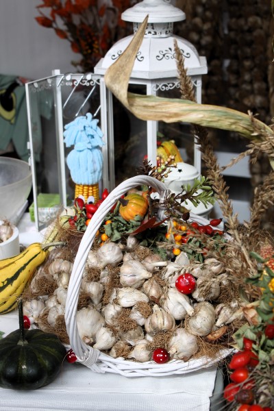 Jesen u Lici Jesen u Lici