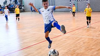 1.Cateleya indoor Cup 1.Cateleya indoor Cup