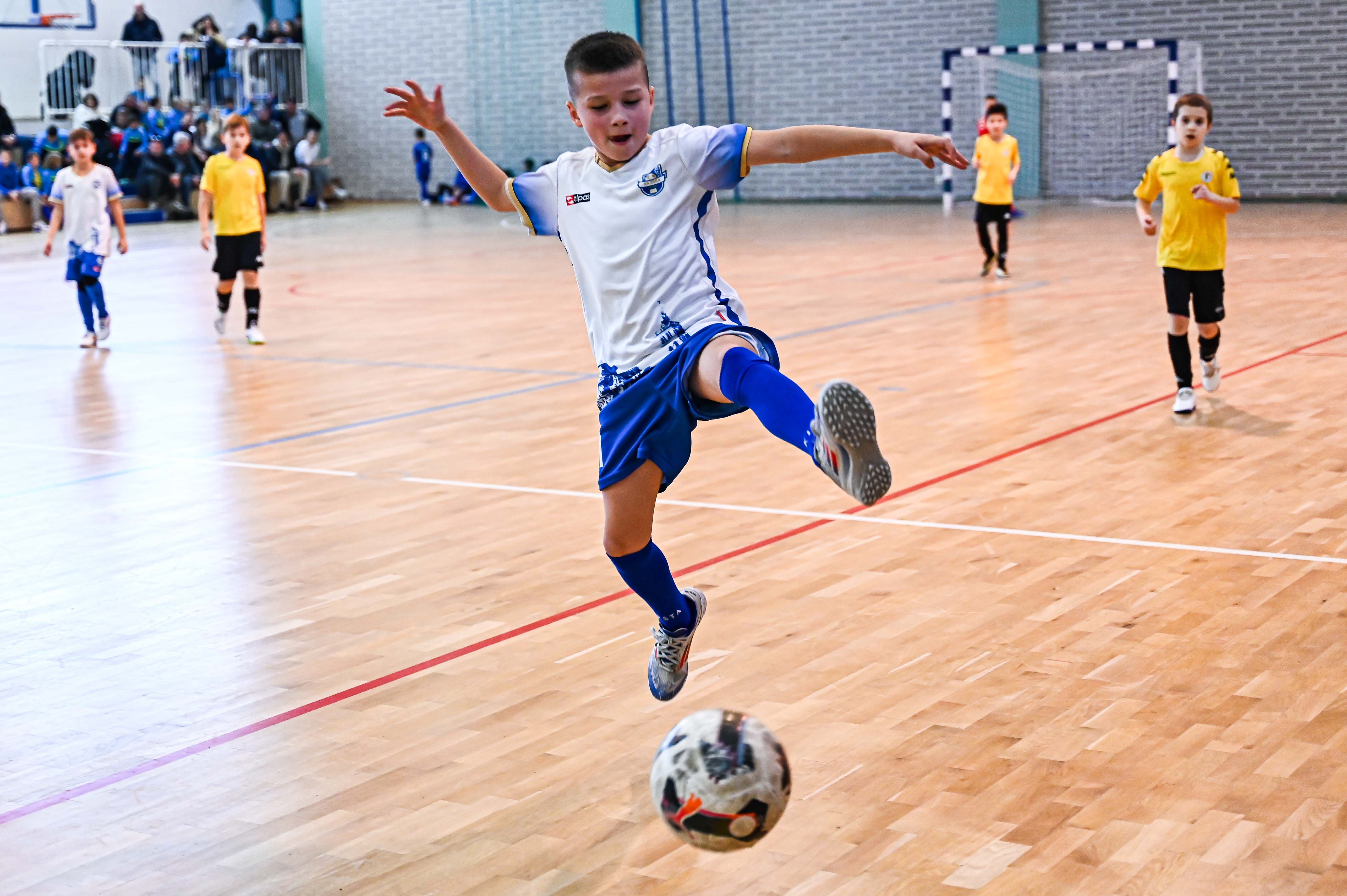 1.Cateleya indoor Cup 1.Cateleya indoor Cup