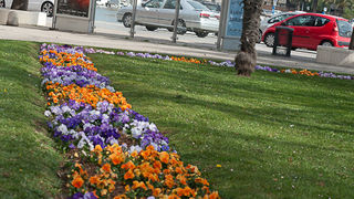 Zadar: Rasvjetni stup završio u moru, foto: Leo Banic