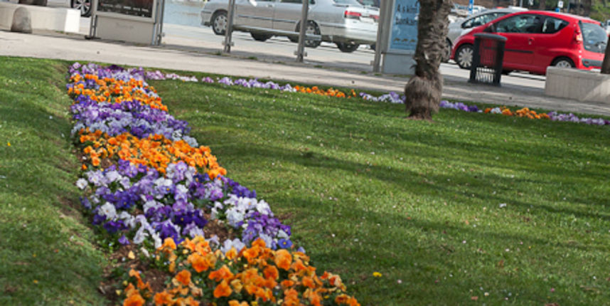 Zadar: Rasvjetni stup završio u moru, foto: Leo Banic