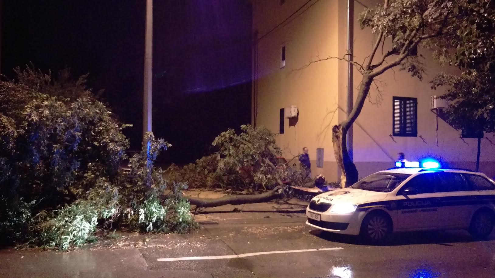 Srušeno stablo u ulici Stjepana Radića